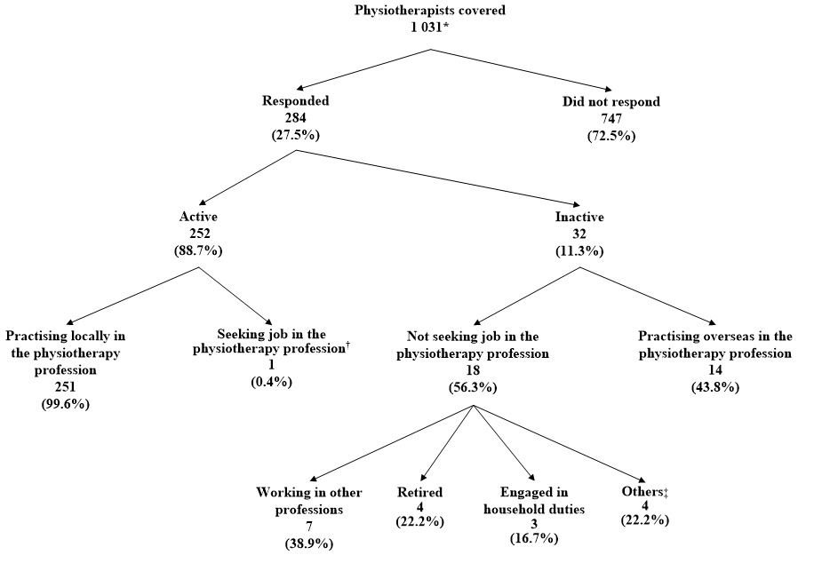 Chart A :	Activity Status of Physiotherapists Covered